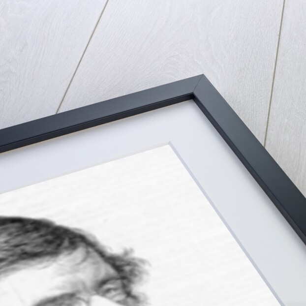 The Late Earl of Rosse, K.P. by English School