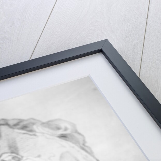 Chevalier d'Eon by English School