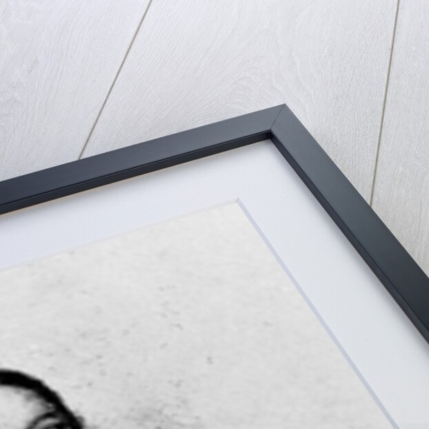 Portrait of Emily Shore, 19th Century by English School