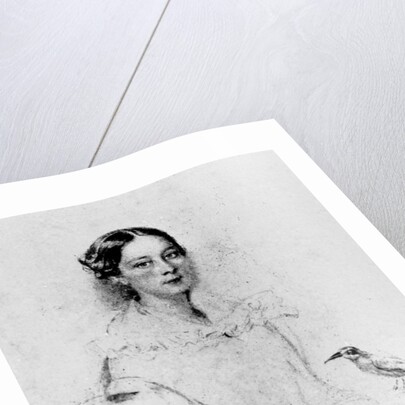 Portrait of Emily Shore, 19th Century by English School