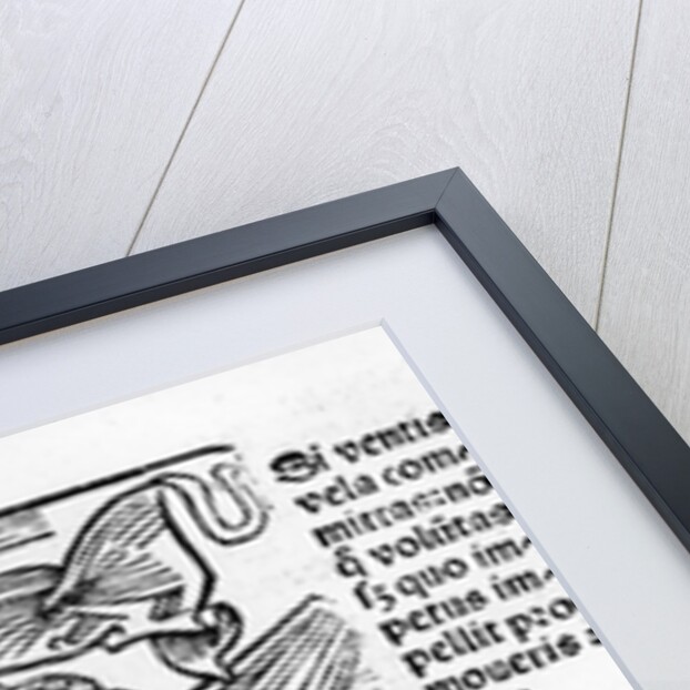 Illustration from the 'Stultifera Navis Mortalium' by Sebastian Brant, printed by Johannes Schenspenger, 1497 by German School