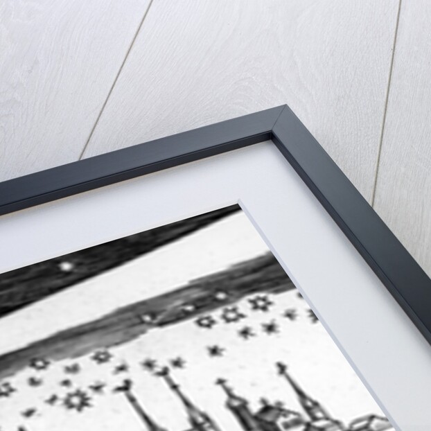 The Terrible Comet of 1680 by Bach Abraham by German School