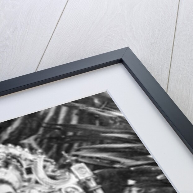 Queen Ranavalona III, circa 1890 by French Photographer