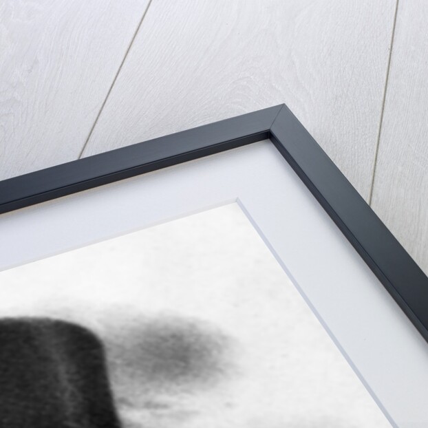 Madame Vestris as Captain MacHeath, 1833 by English School