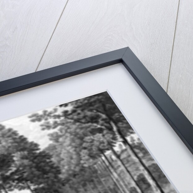 The City of York, a Noble Terrace Walk, print made by Charles Grignon, 1756 by English School