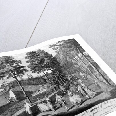 The City of York, a Noble Terrace Walk, print made by Charles Grignon, 1756 by English School