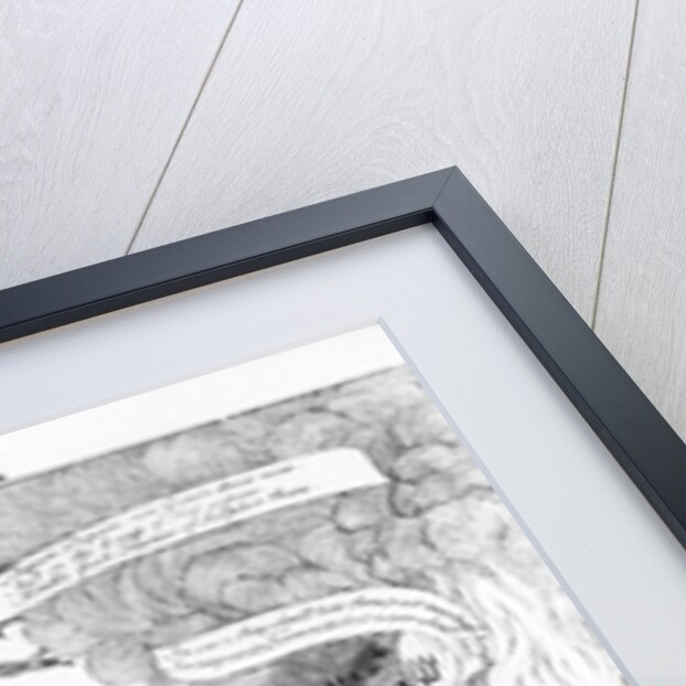 The Devil turnd Drover, published by William Tringham, 1756 by English School