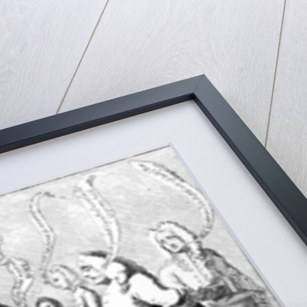 A Political Battle Royal Design'd for Broughton's New Amphitheatre, c.1743 by English School