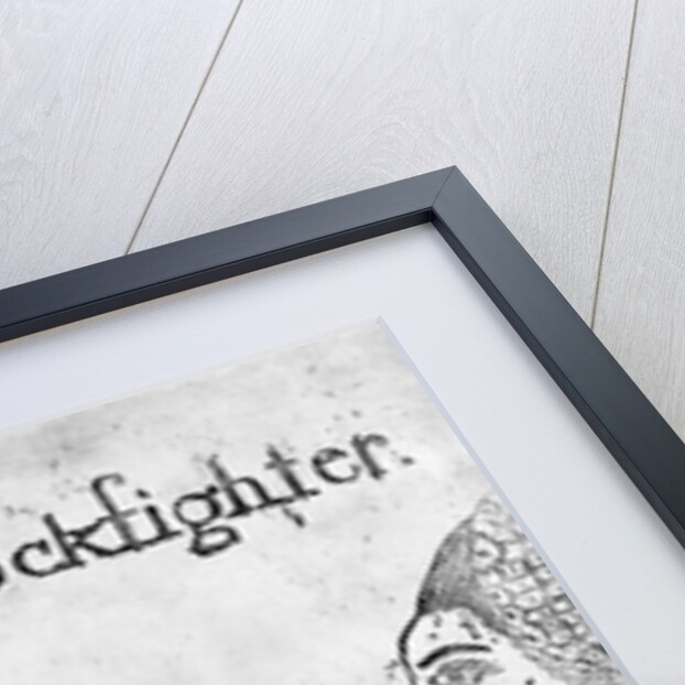 The Newcastle Cockfighter, circa 1750 by English School