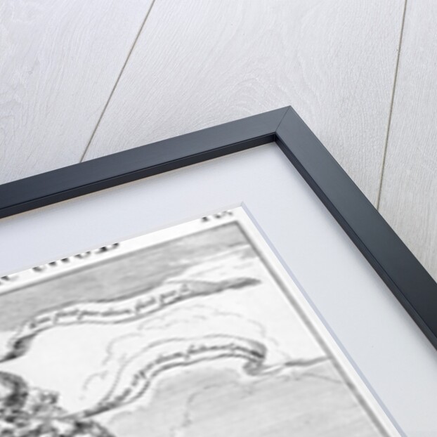 The Conduct of the Two B*****rs, 1749 by George (c.1706–71) Bickham