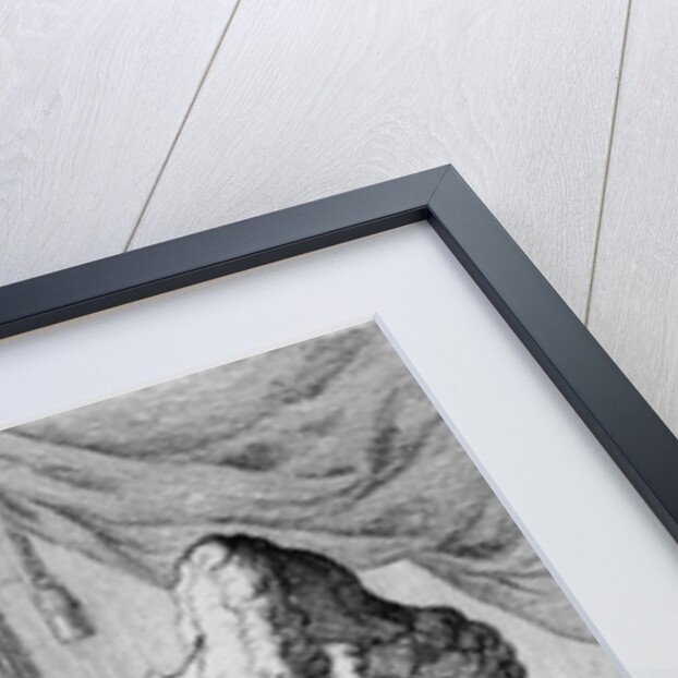 The Charming Brute, 1754 by Anonymous Anonymous