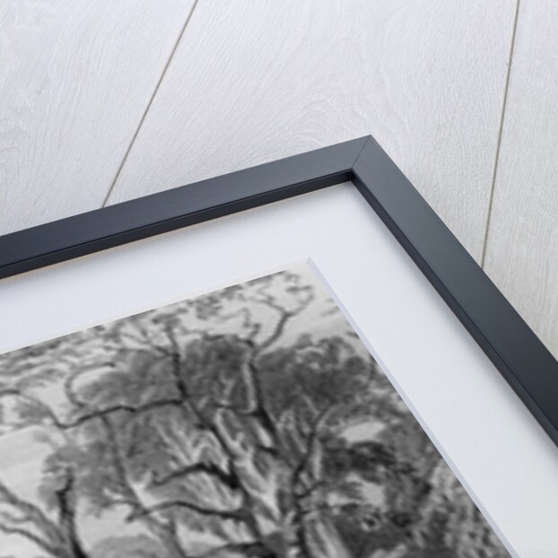 Castle Eden Hall, Durham, 1833 by Thomas Allom