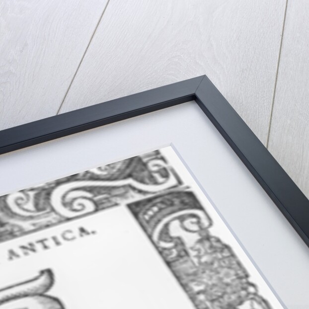 Man wearing Dogalina, 1590 by Cesare Vecellio