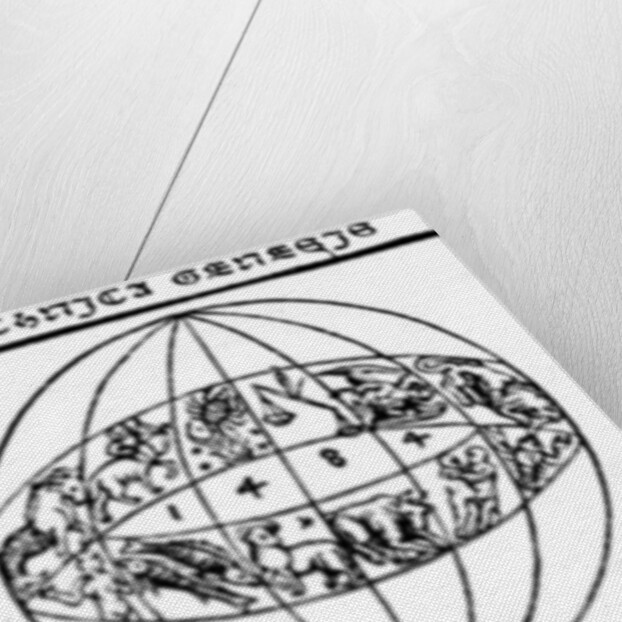 Syphilitic man, 1496 by Albrecht Dürer or Duerer