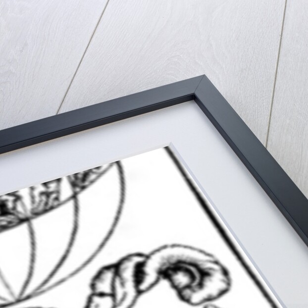 Syphilitic man, 1496 by Albrecht Dürer or Duerer