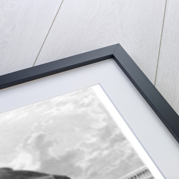 Coliseum, Regent's Park, 1837 by English School