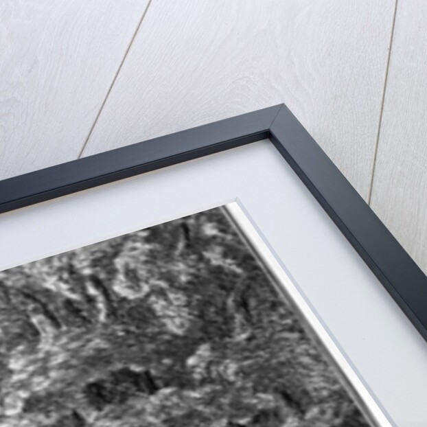 Paddington Church, 1795 by Haynes King