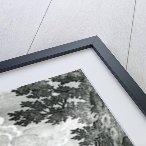 The Feathered Friend in a Fright, 1779 by John Collet