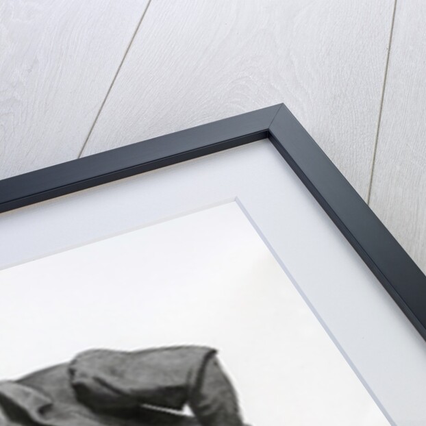 Illustration from 'Masques et Buffons', 1862 by Maurice Sand