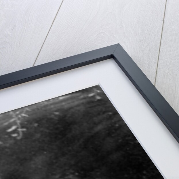 Photograph of a Speculator in the East, 1816-40 by English School