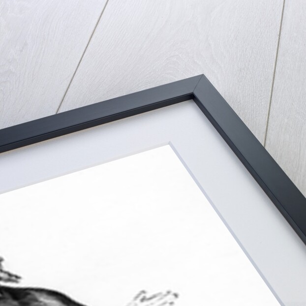 Illustration taken from Histoire du costume en France depuis les 18e siècle by French School