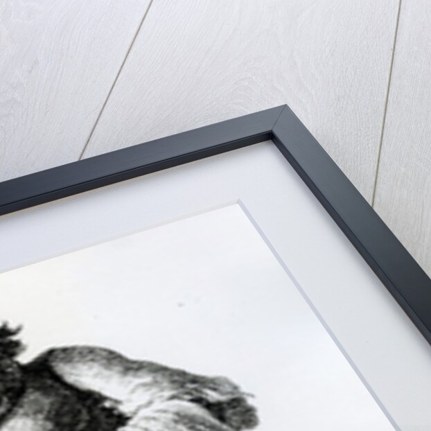 A Crétin of Aosta, c.1870 by Edward Whymper