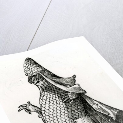 Monstrum Marinum rudimenta habitus Episcopi referens, 1642 by Italian School