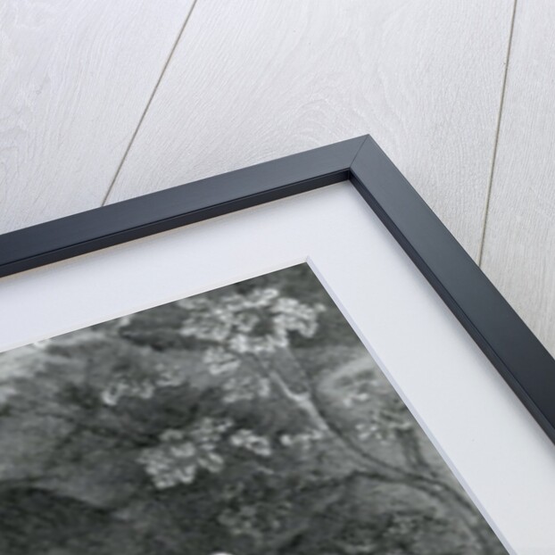 Diane Endormie, 18th Century by Correggio