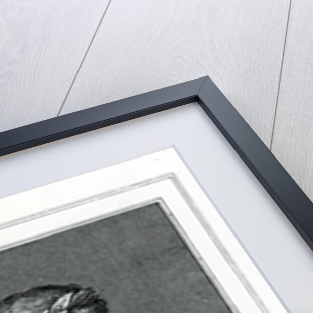 Ovid by English School