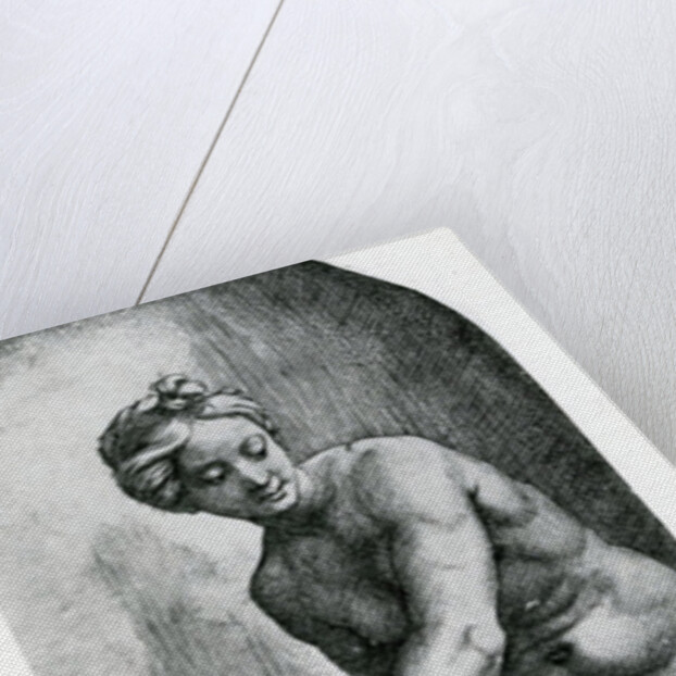 Venus and Amor, 17th Century by Italian School