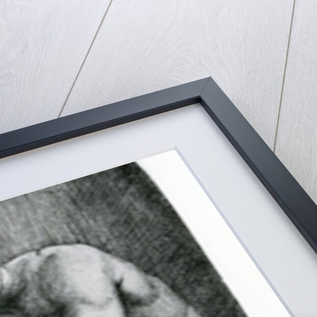 Venus and Amor, 17th Century by Italian School