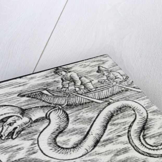 Sea monsters, 1511 by Spanish School