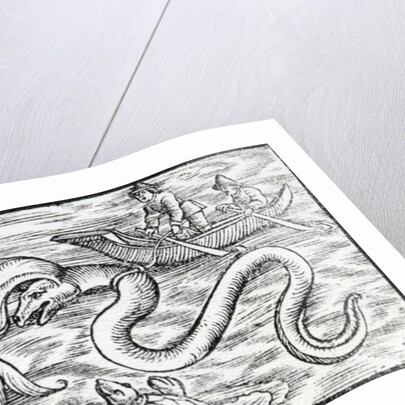 Sea monsters, 1511 by Spanish School