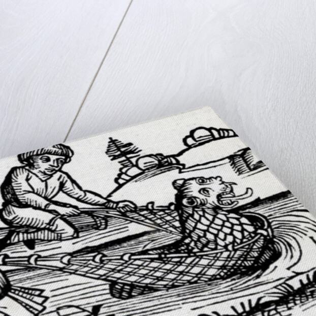 Illustration taken from the Nuremburg Chronicle, 1493 by German School