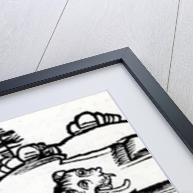 Illustration taken from the Nuremburg Chronicle, 1493 by German School