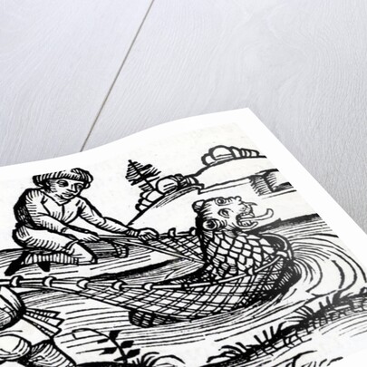 Illustration taken from the Nuremburg Chronicle, 1493 by German School