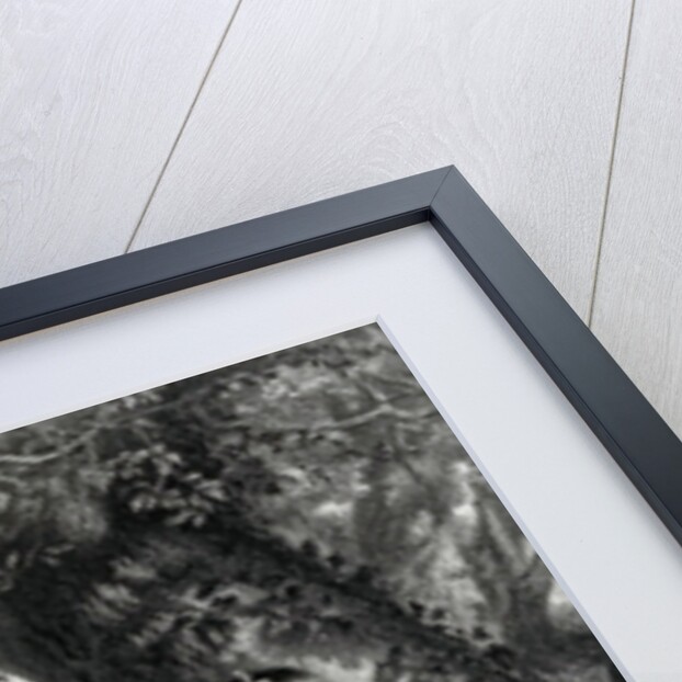 The Sisters. by English School