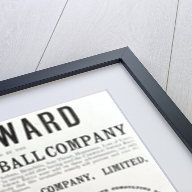 Advertisement for the Carbolic Smoke Ball Company, 1893 by English School