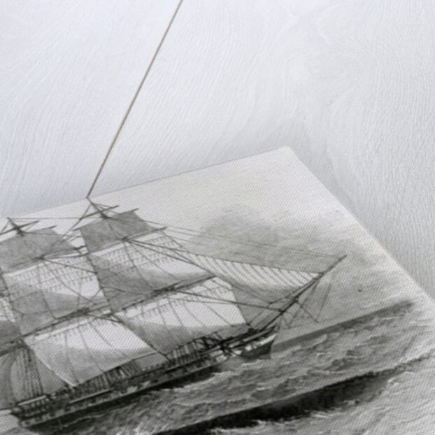 The Great Sea-Serpent when First Seen from H.M.S. Daedalus by English School