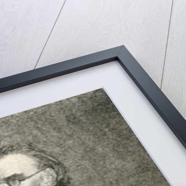 Sir Charles Napier, 1849 by English School