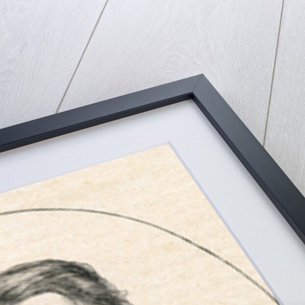 Sir Robert Napier, 1868 by English School