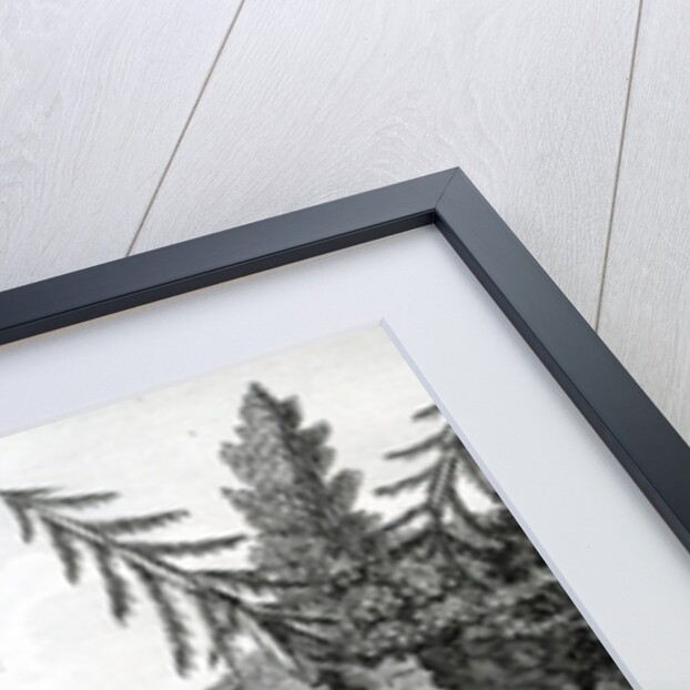 Affecting interview of two Mokito Men by English School