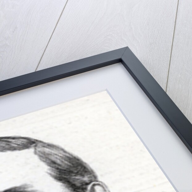 Portrait of Lieutenant-Colonel George Taylor Denison, 1877 by English School