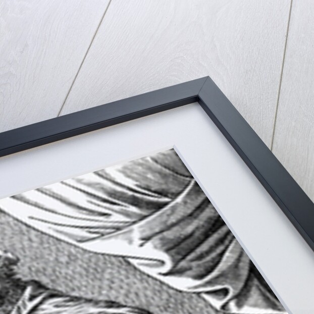 Charles IX, King of France, 1573 by French School