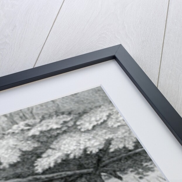 The Indians delivering up the English Captives to Colonel Bouquet near his Camp at the Forks of Muskingham in North Anerica by English School