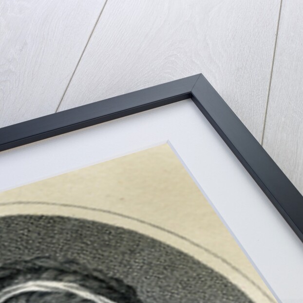 Miss Parsons, 1805 by English School