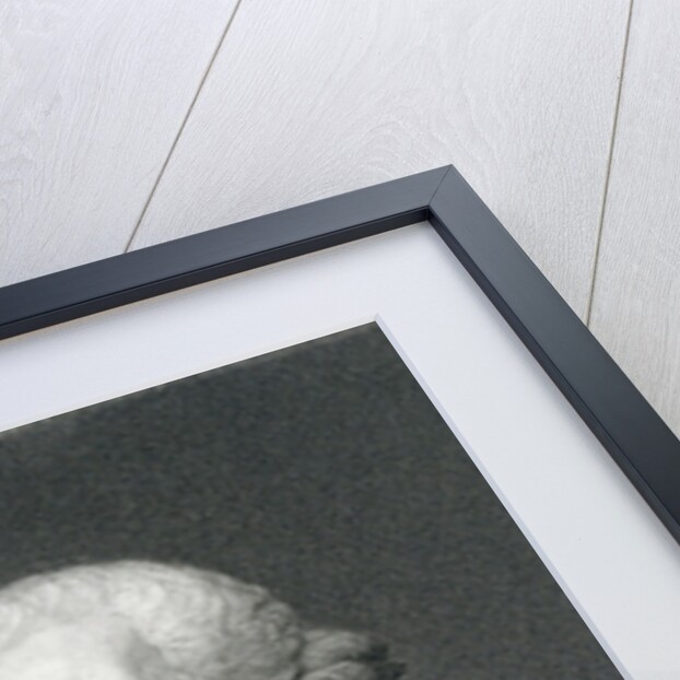 George Washington, 19th Century by English School