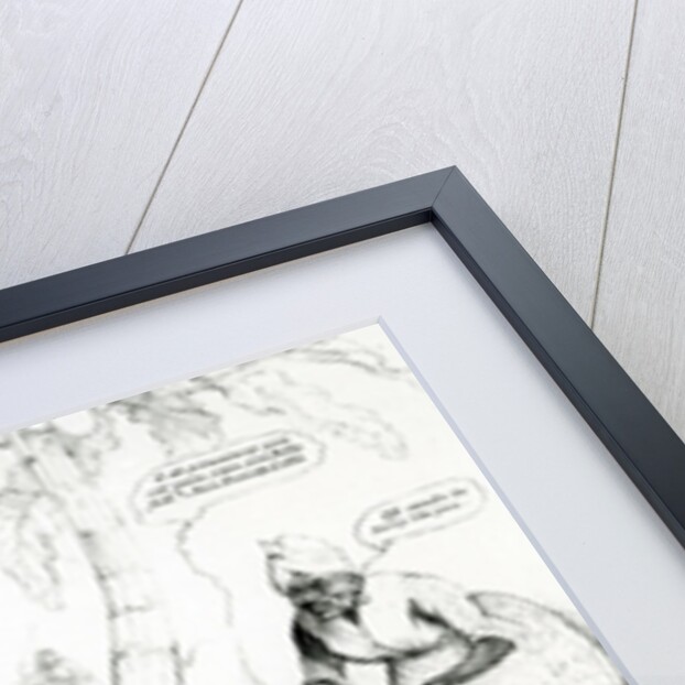 McLean's Monthly Sheet of Caricatures, or the Looking Glass by English School