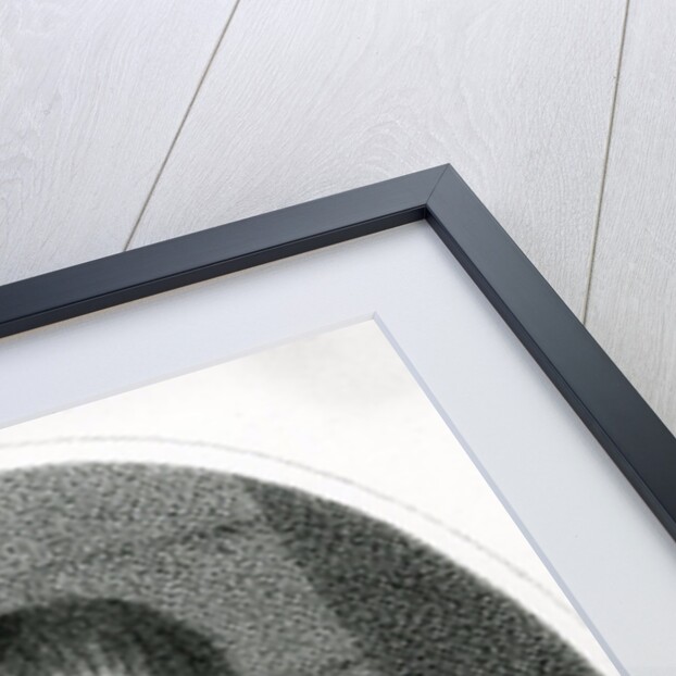 Portrait of Yemelyan Pugachev, 18th Century by French School