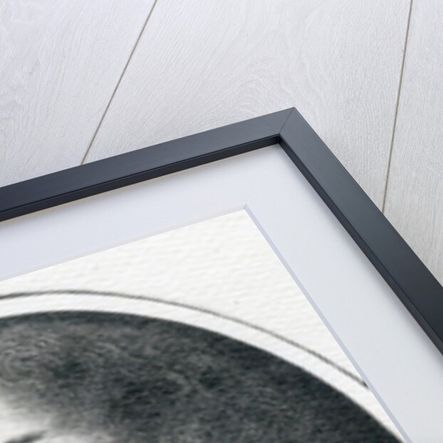 James II when Duke of York, 17th Century by English School